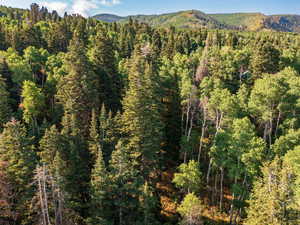 Mountain view featuring a heavily wooded area