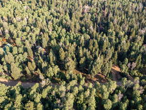 Aerial overview of property's location with a heavily wooded area
