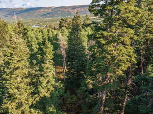 View of mountain backdrop featuring a forest