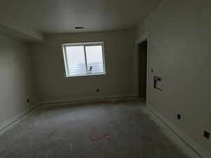 Basement Bedroom