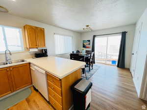 Kitchen with brown cabinetry, light countertops, a textured ceiling, light wood-type flooring, and healthy amount of natural light