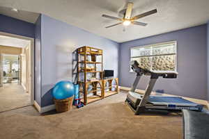 Workout area with carpet flooring, a textured ceiling, and ceiling fan