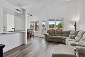 Living Room with Lots of Natural Light and Vaulted Ceilings