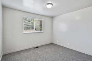 Spare room with carpet floors, closet, and window