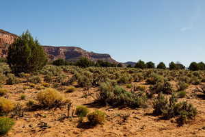 View of mountain background