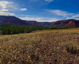 Mountain view