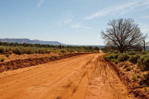 View of dirt / gravel road featuring a view of rural / pastoral area