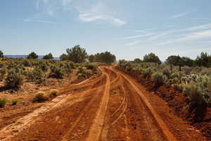 View of dirt / gravel road with a view of countryside
