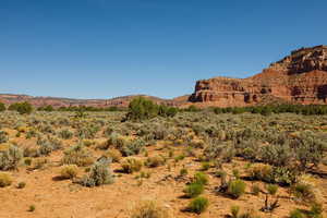 View of mountain background with a desert landscape