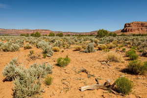 View of mountain backdrop featuring a desert landscape