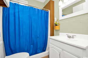 Full bathroom featuring vanity and a shower with shower curtain