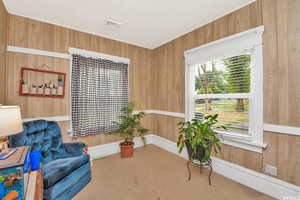 Sitting room featuring wood walls, healthy amount of natural light, and carpet flooring