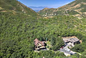 Bird's eye view of a forest and a mountain backdrop