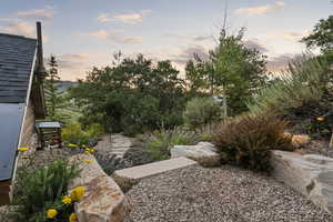 View of yard at dusk