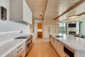 Kitchen featuring light wood-type flooring, light stone counters, a premium fireplace, stainless steel appliances, and pendant lighting