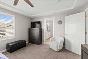 Living area with light colored carpet, a tray ceiling, and ceiling fan
