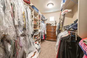 Spacious closet with light carpet