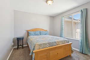 Bedroom with carpet and large window