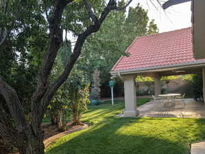 View of yard with a patio area