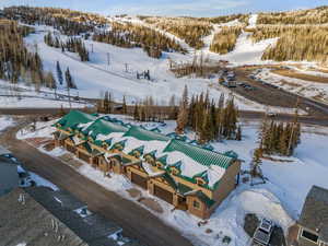 Drone / aerial view of a heavily wooded area