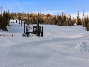 Yard layered in snow with a forest view
