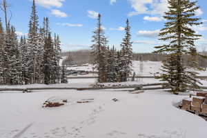 Yard layered in snow with a forest view