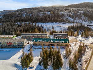 Snowy aerial view with a view of trees