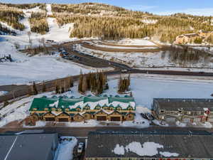 Aerial view of a forest
