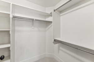 Spacious closet featuring carpet floors