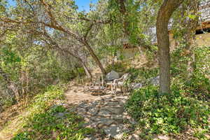 View of yard featuring a patio area