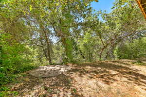 View of yard with a forest view