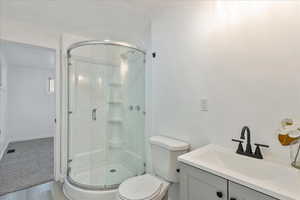 Full bathroom featuring vanity, a stall shower, and wood finished floors