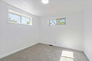 Unfurnished room with carpet floors and healthy amount of natural light