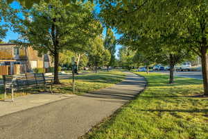View of community with a lawn