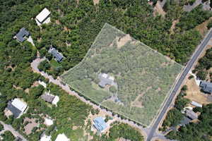 Aerial view of property's location featuring a forest
