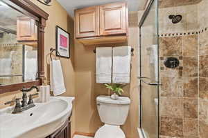 Full bathroom featuring vanity and a shower stall