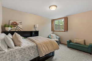Large secondary bedroom with huge closet and juliette balcony out the window and incredible mountain views.