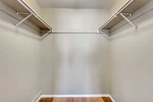 Spacious closet featuring light wood finished floors
