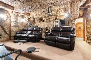 Cinema room featuring carpet floors