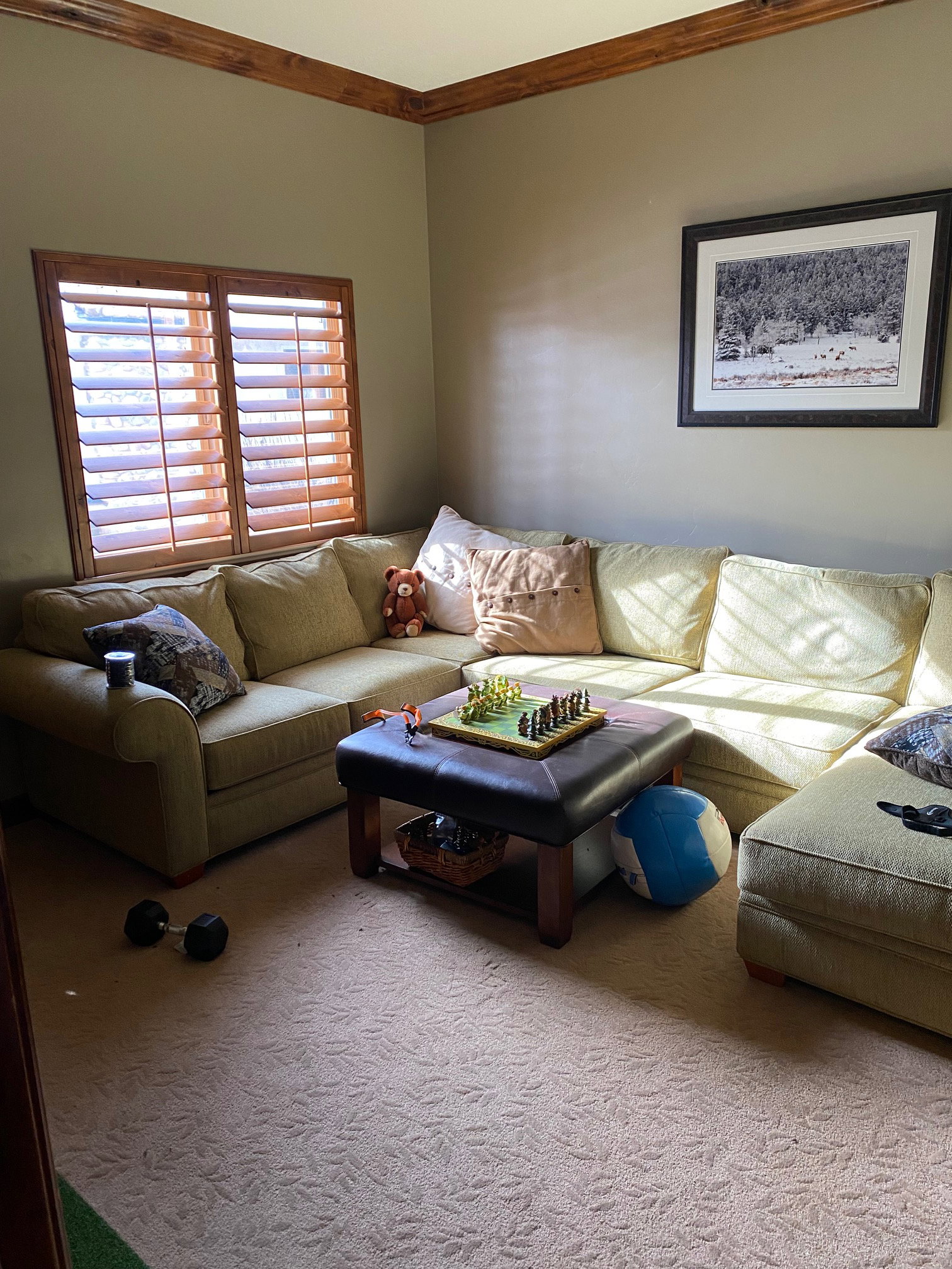 Carpeted living area with ornamental molding