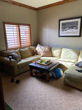 Carpeted living area with ornamental molding