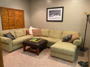Living area with light colored carpet
