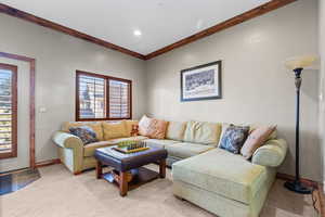 Living room featuring crown molding and light colored carpet