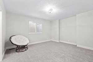 Unfurnished room with light colored carpet and a textured ceiling