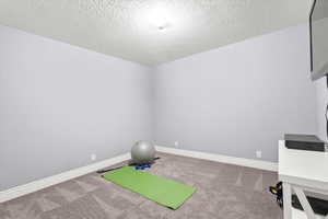 Workout room featuring carpet floors and a textured ceiling