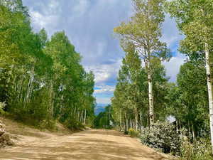 View of home's community with a forest view