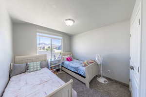 Bedroom featuring a textured ceiling, carpet flooring, and a mountain view