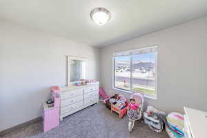 Recreation room with carpet flooring and a textured ceiling