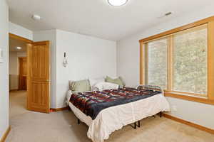 Bedroom featuring light colored carpet and baseboards