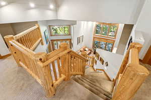 Stairs featuring a high ceiling and carpet
